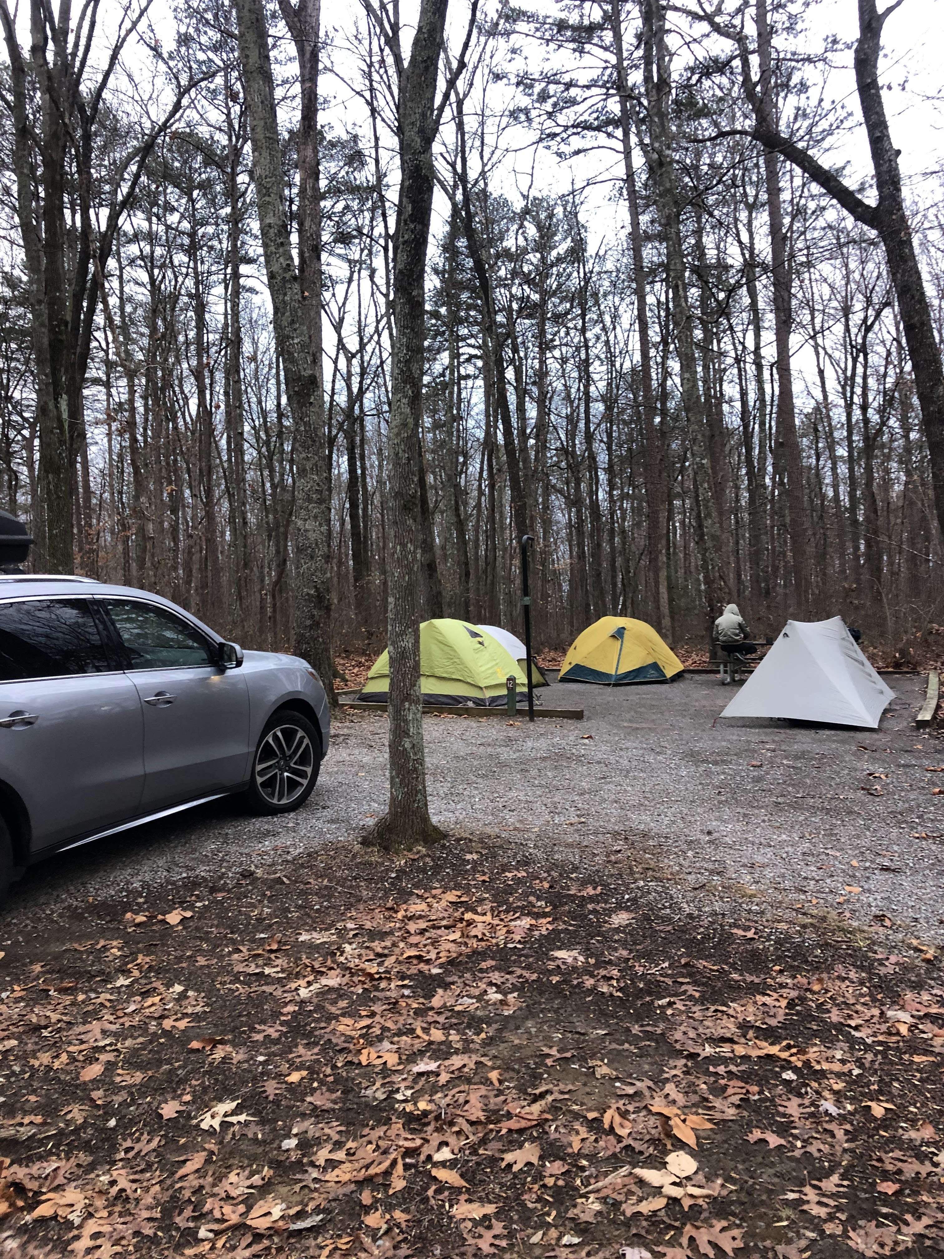 Camp setup
